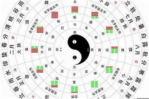 五型人格金木水火土|金木水火土代表五种性格，看看自己的五行？